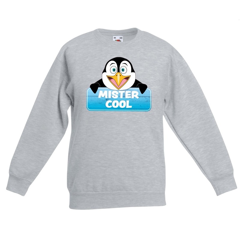 Pinguin dieren sweater grijs voor kinderen