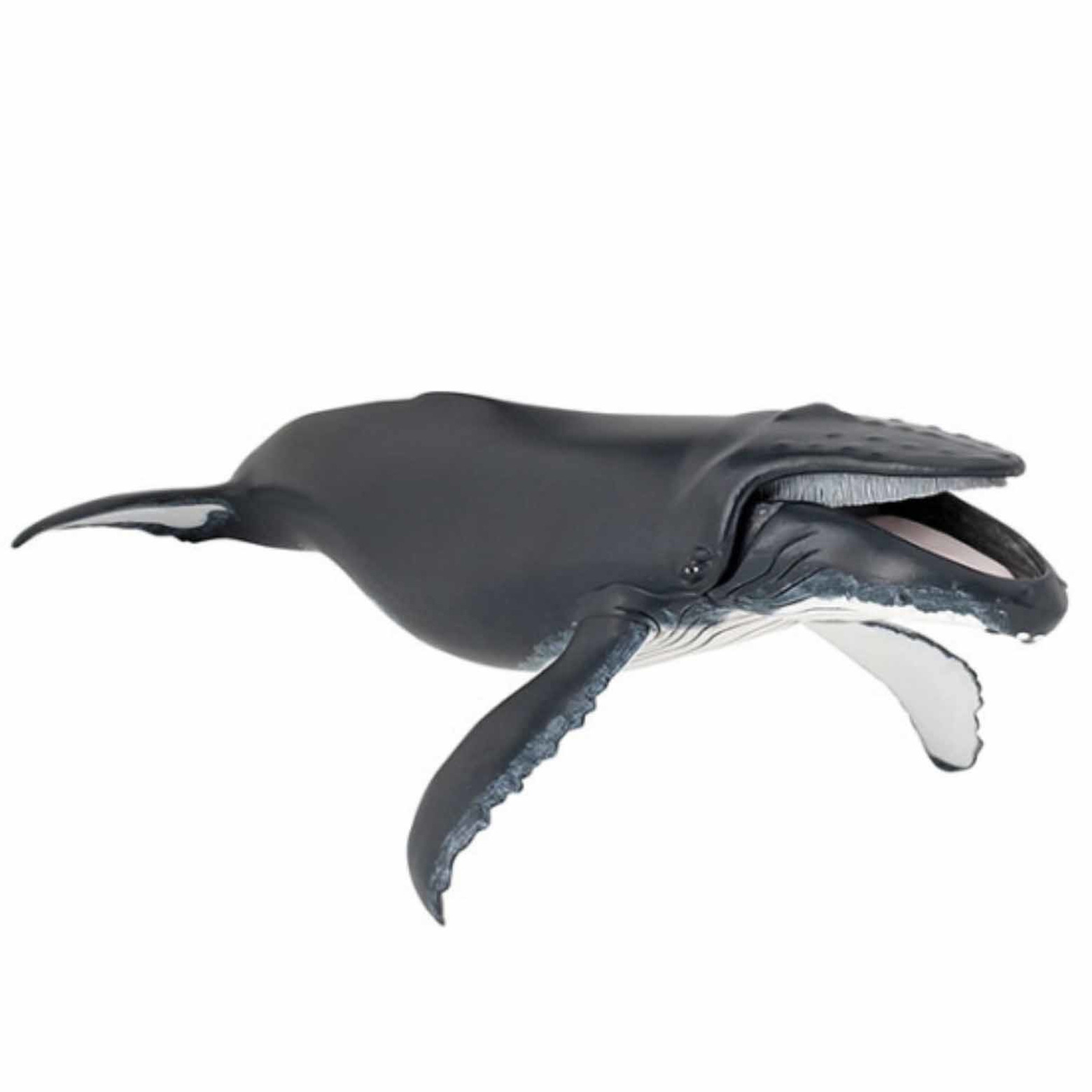 Afbeelding Plastic walvis speeldiertje 29 cm door Animals Giftshop