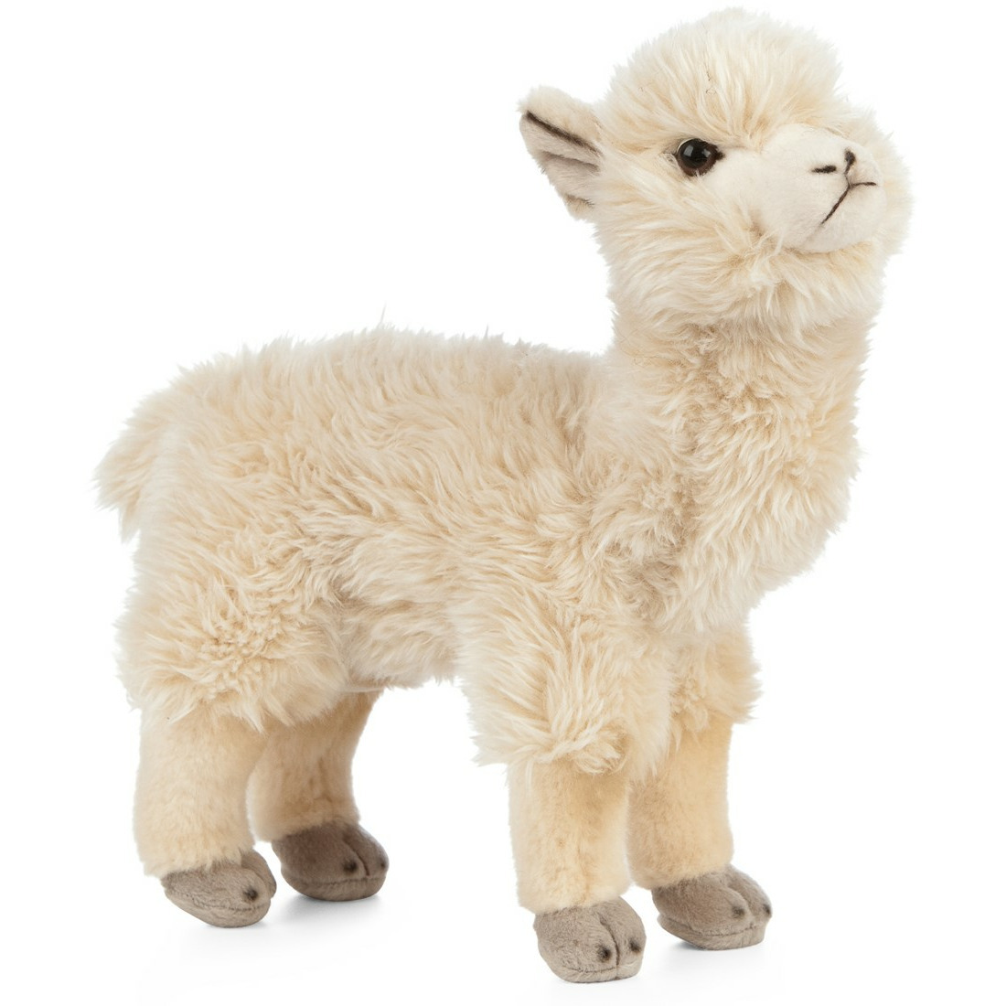 Afbeelding Pluche alpaca/lama knuffeldier wit 24 cm door Animals Giftshop