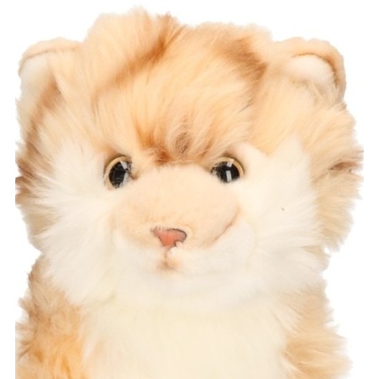 Afbeelding Pluche beige Tabby kat 27 cm door Animals Giftshop