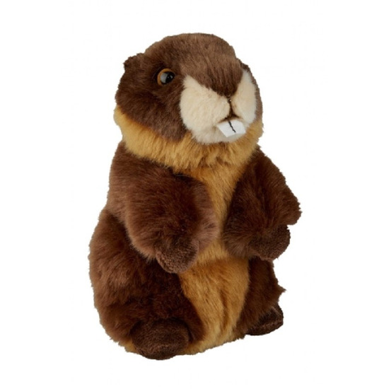 Afbeelding Pluche bruine bever knuffel 18 cm knuffeldieren door Animals Giftshop