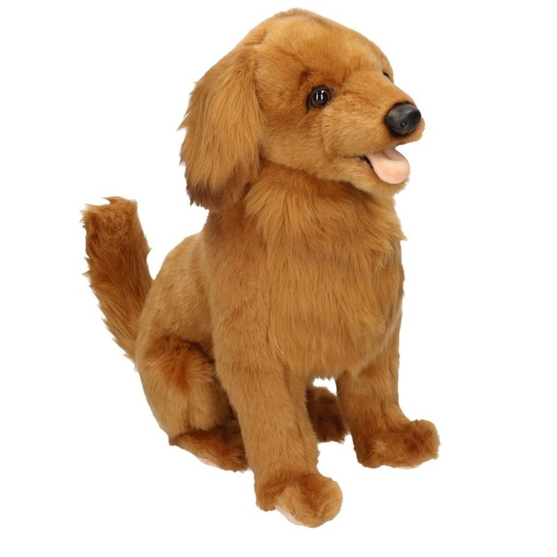 Pluche Golden Retriever hondje knuffeldier hondje 42 cm