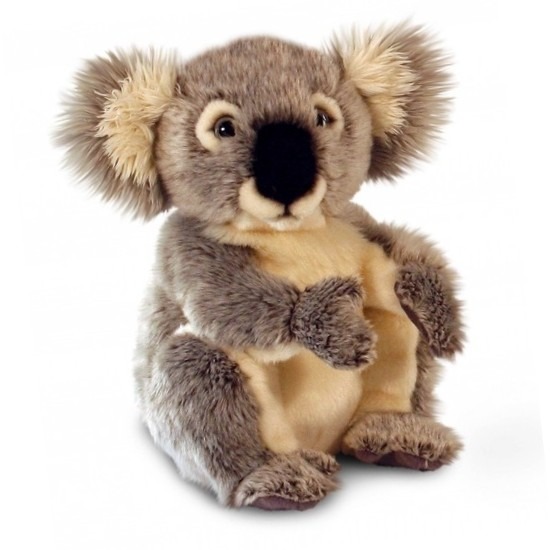 Pluche grijze Koalabeertje van 28 cm