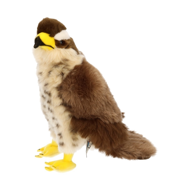 Pluche havik knuffel bruin-wit 23 cm roofvogel