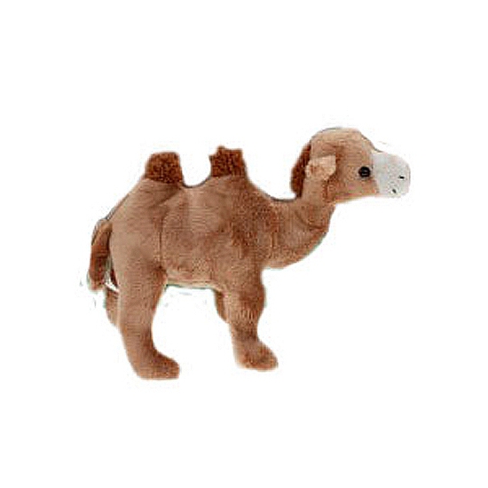 Pluche kameel 22 cm
