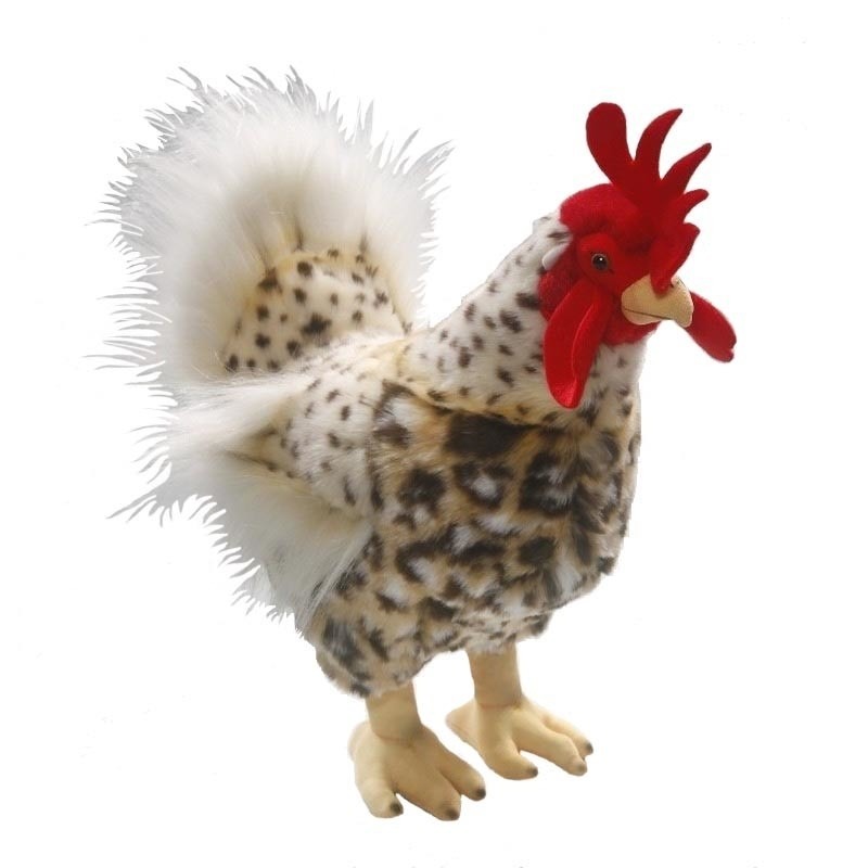 Pluche knuffel kippen/hanen 40 cm