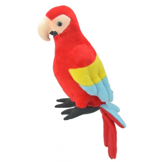 Pluche papegaai knuffeldier 38 cm
