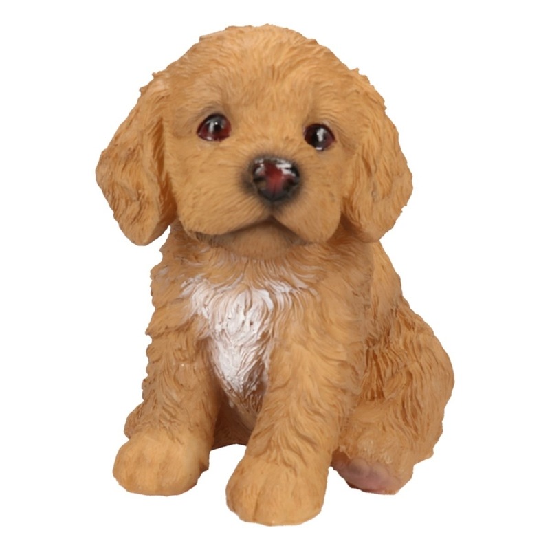 Polystone tuinbeeld bruin Labradoodle puppy hondje 15 cm