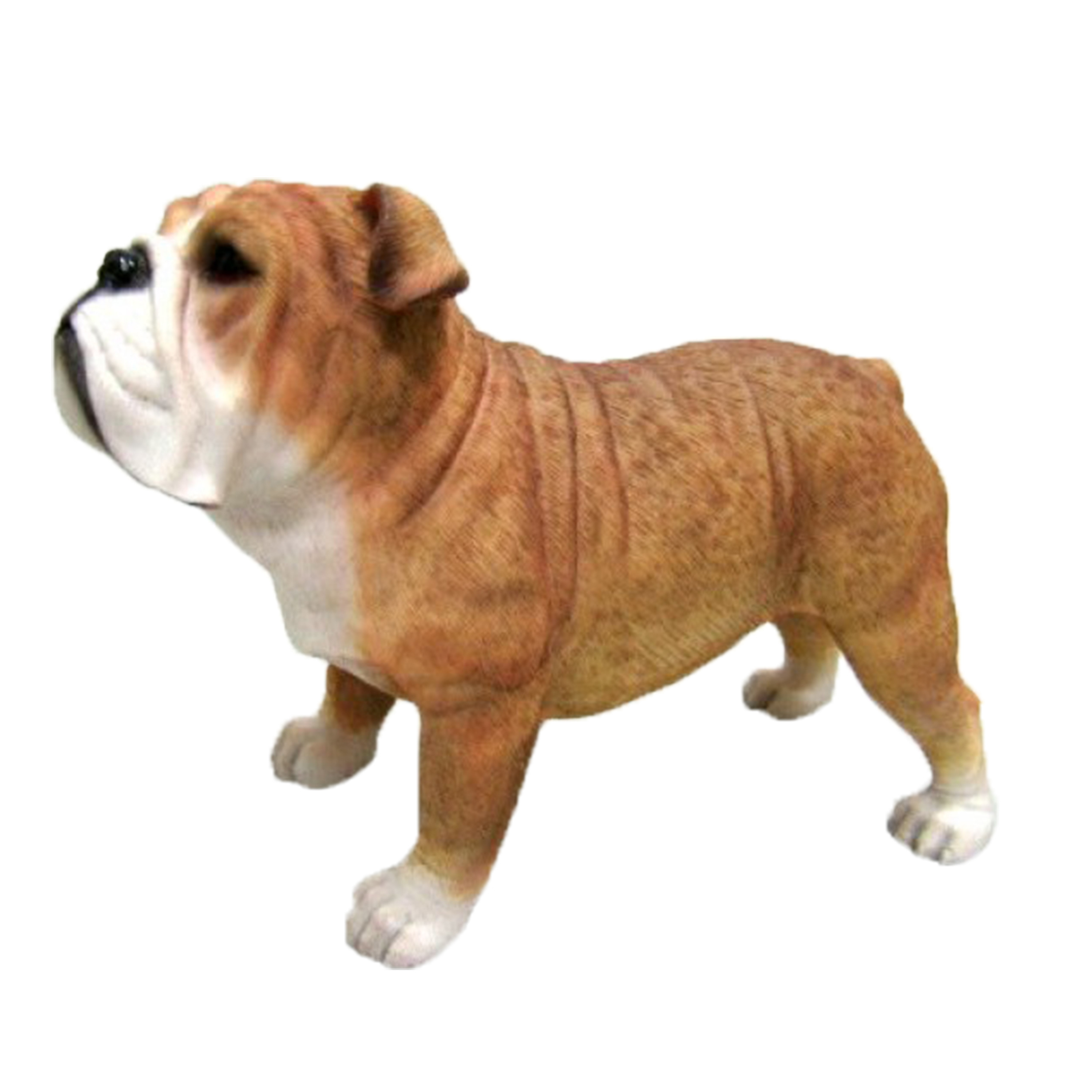 Polystone tuinbeeld Engelse bulldog hondje 15 cm