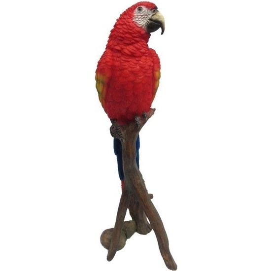 Afbeelding Polystone tuinbeeld rode papegaai op stam 30 cm door Animals Giftshop