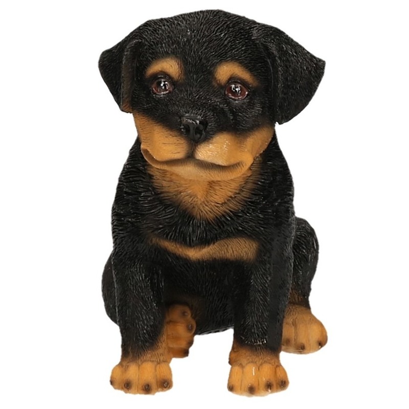 Afbeelding Polystone tuinbeeld zwart Rottweiler puppy hondje 15 cm door Animals Giftshop