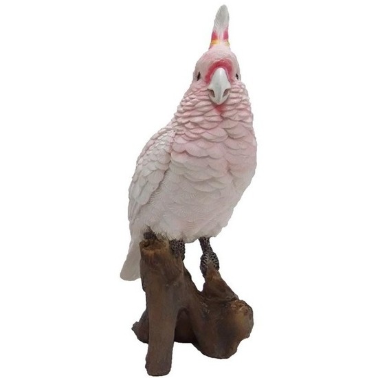 Polystone vogel dierenbeeld roze kaketoe 25 cm