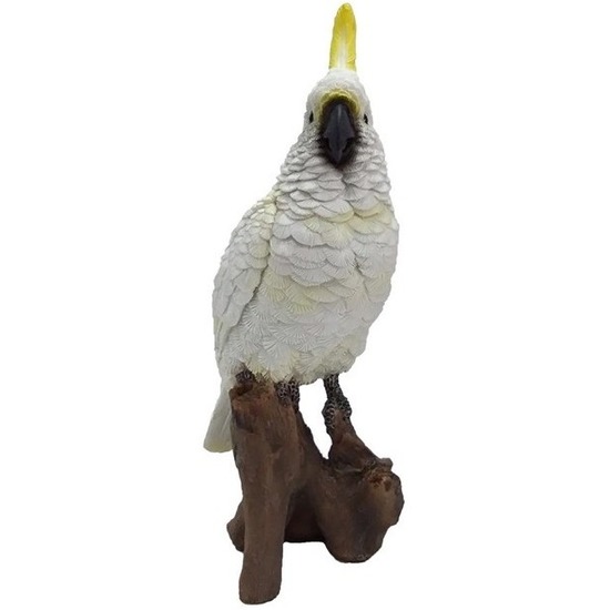 Polystone vogel dierenbeeld witte kaketoe 25 cm