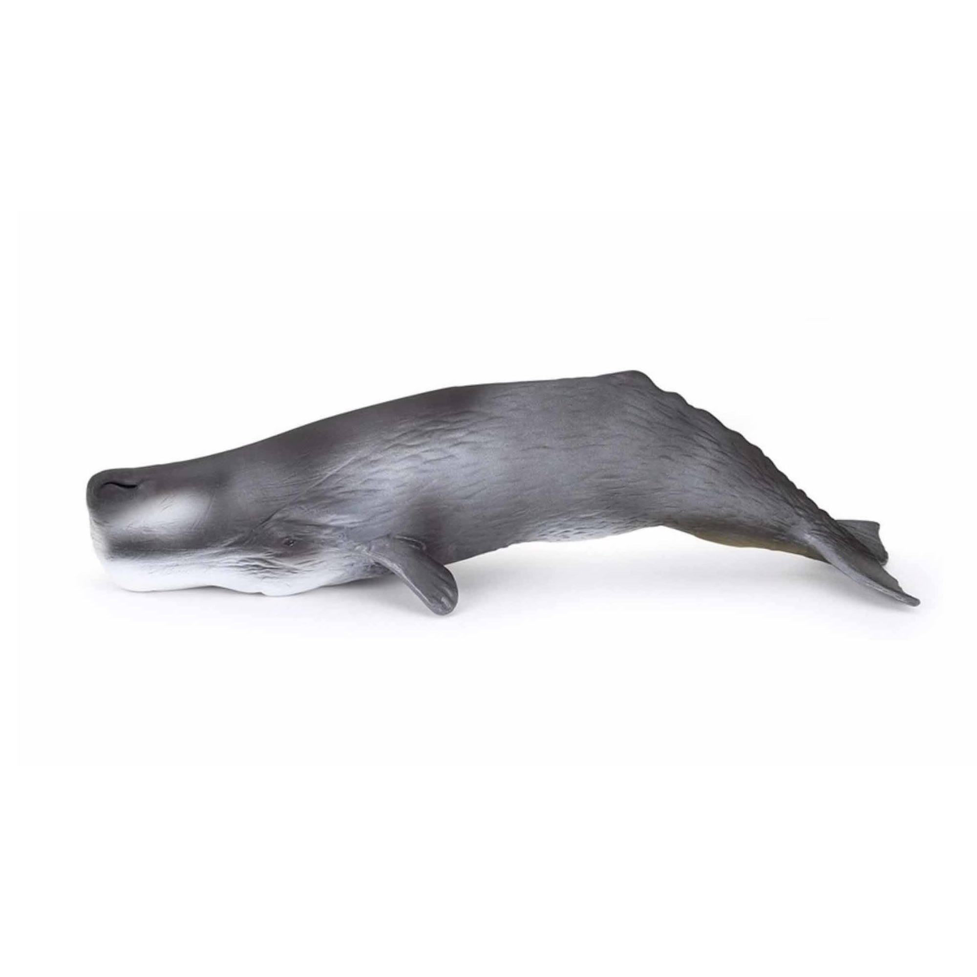 Afbeelding Potvissen speeldiertje 28 cm door Animals Giftshop