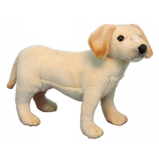 Afbeelding Realischtische pluche Labrador puppy 35 cm door Animals Giftshop