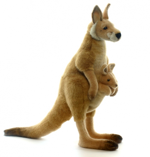 Reuze kangaroe knuffel 43 cm