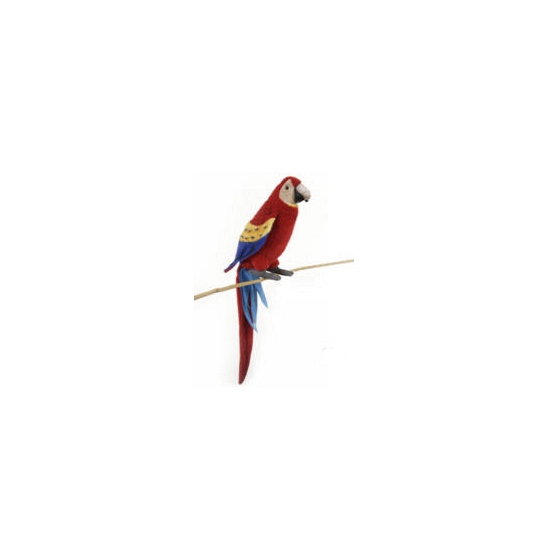 Rode papegaai knuffel 72 cm