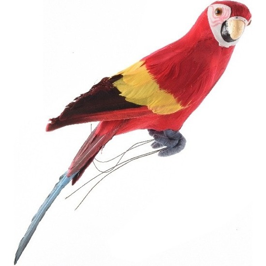 Rood woondecoratie beeld zittende ara papegaai vogel 34 cm