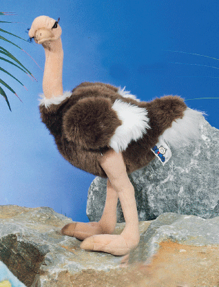 Pluche struisvogel knuffel 30 cm