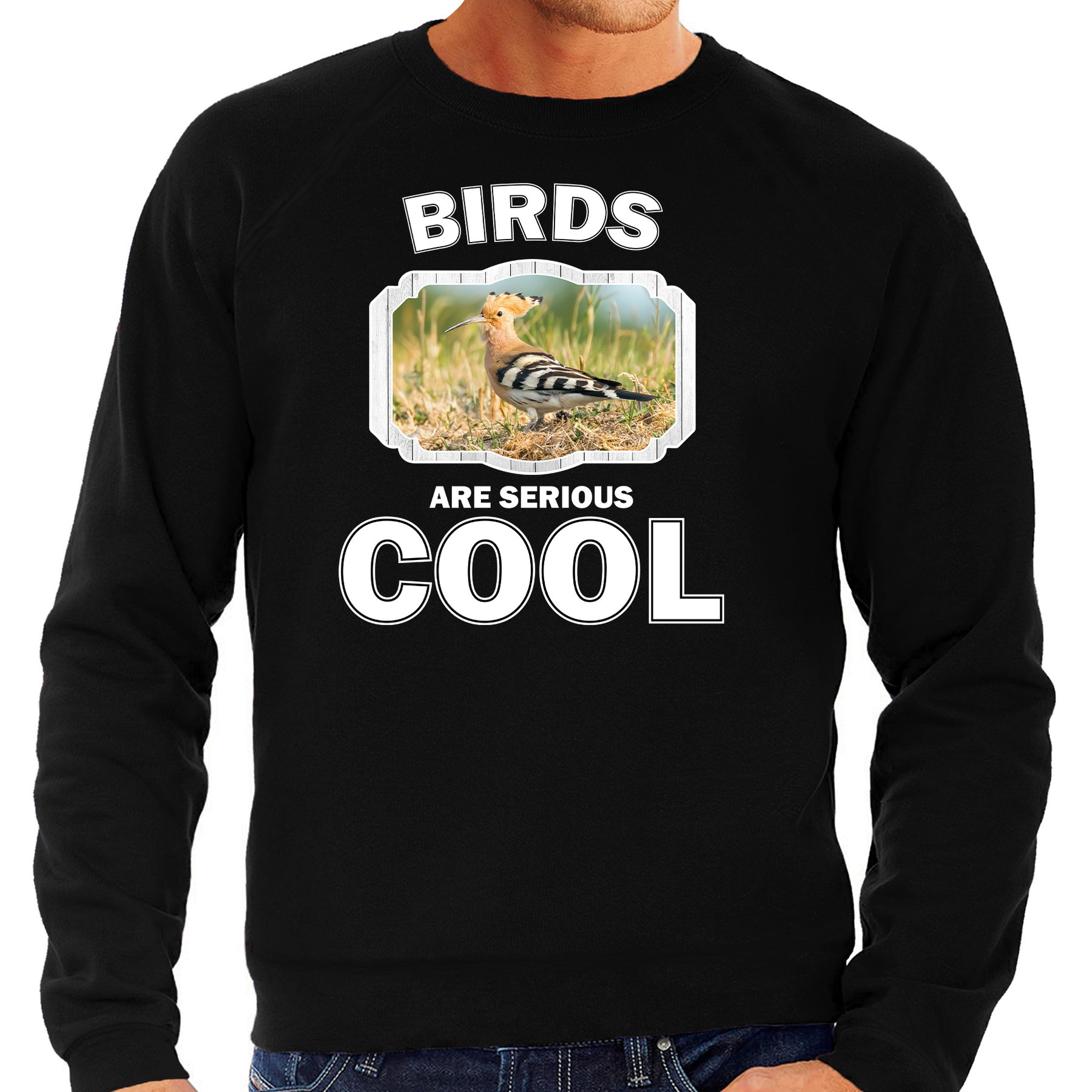 Sweater birds are serious cool zwart heren - vogels/ hop vogel trui