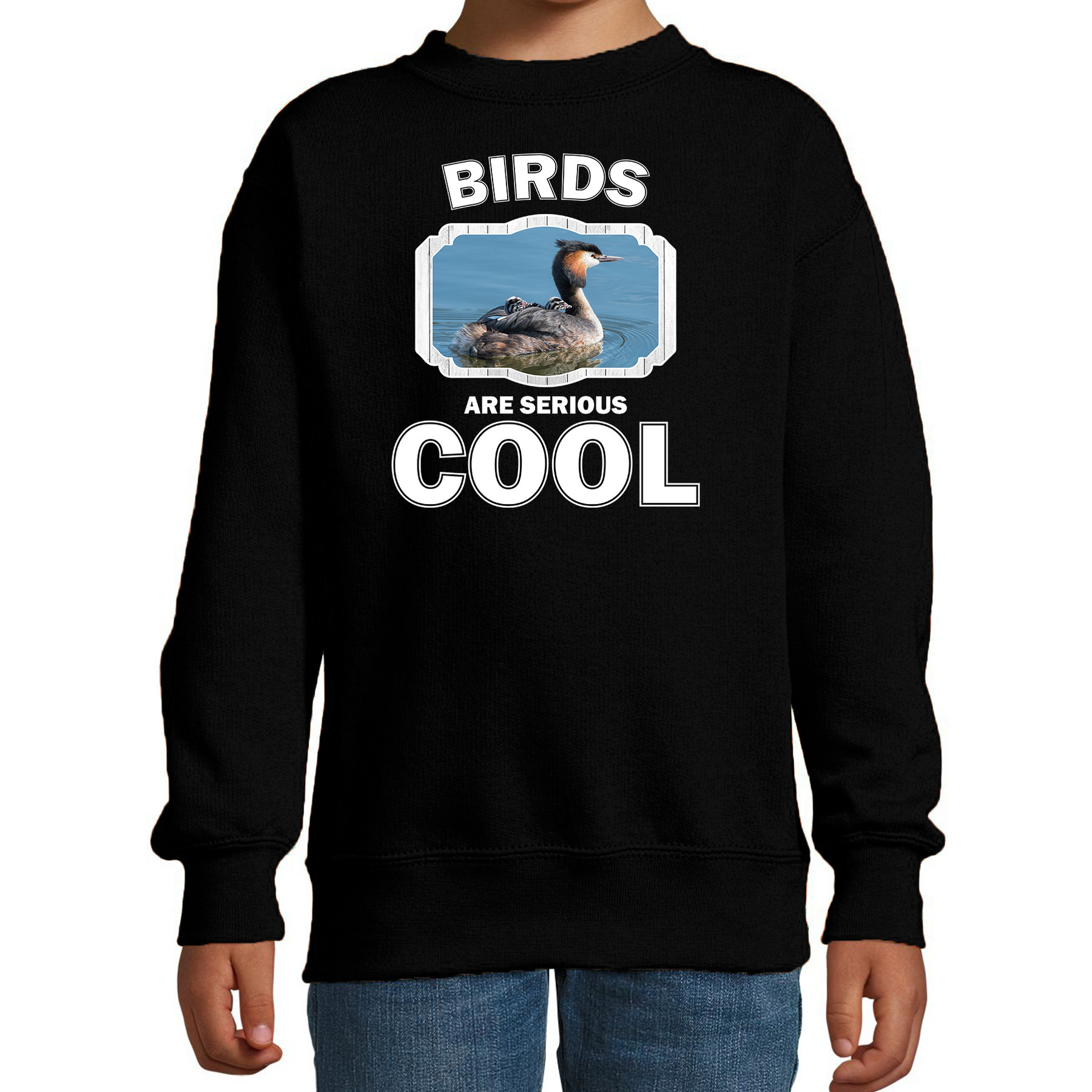 Afbeelding Sweater birds are serious cool zwart kinderen - vogels/ fuut vogel trui door Animals Giftshop