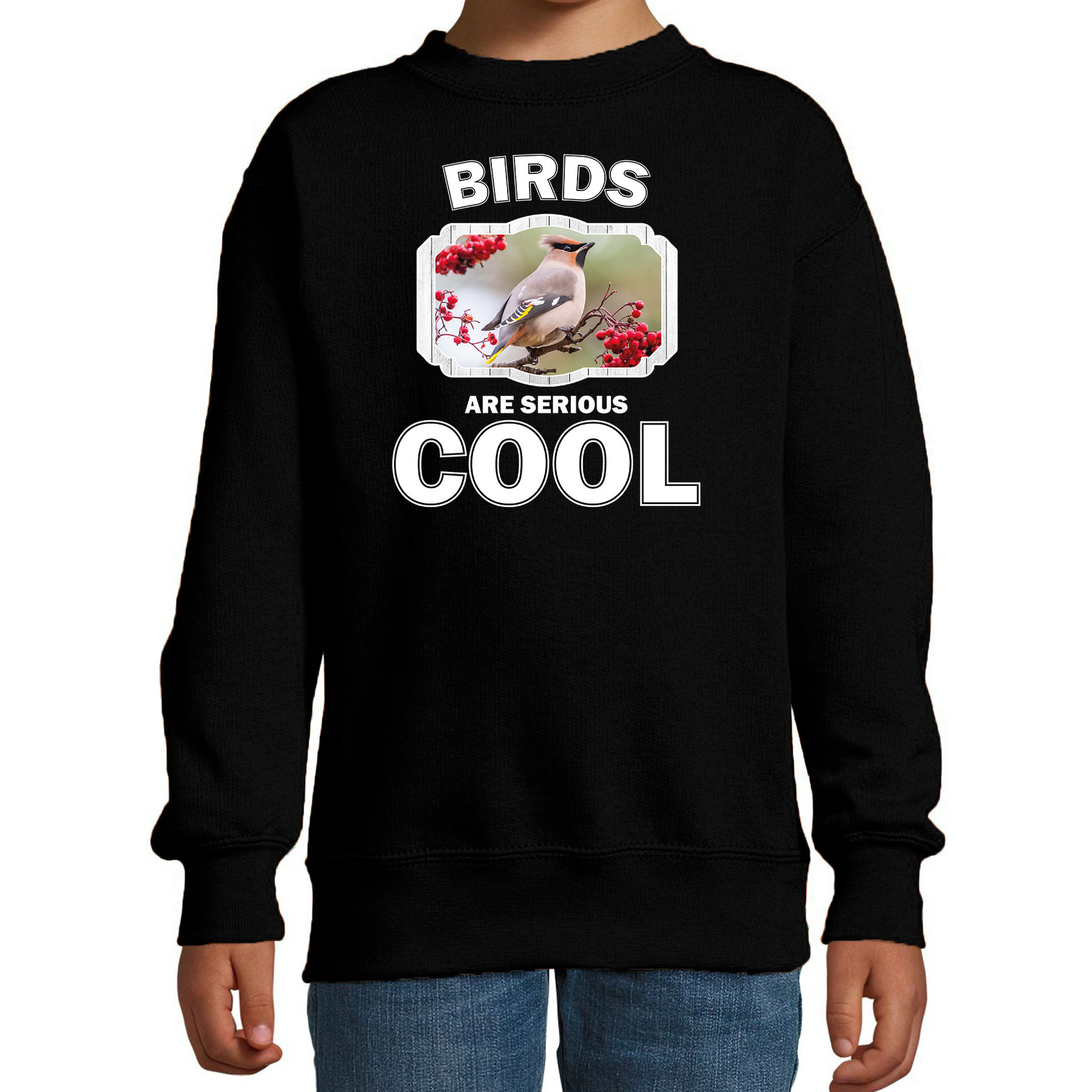 Sweater birds are serious cool zwart kinderen - vogels/ pestvogel trui