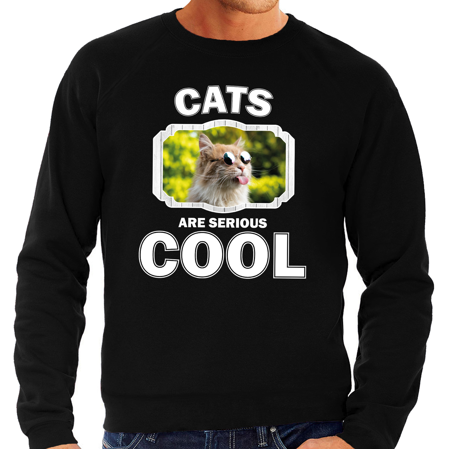 Sweater cats are serious cool zwart heren - katten/ gekke poes trui