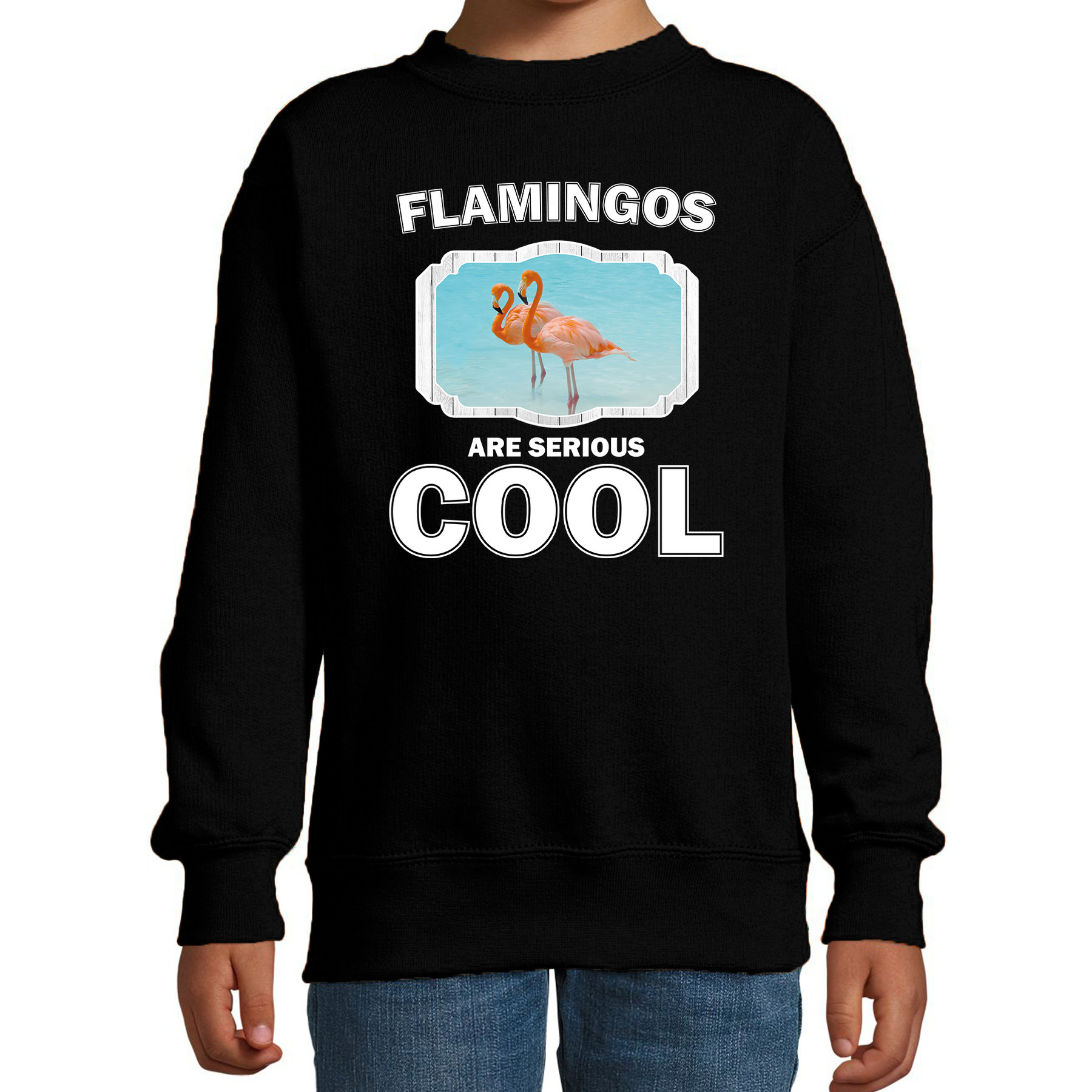 Sweater flamingos are serious cool zwart kinderen - flamingo vogels/ flamingo trui