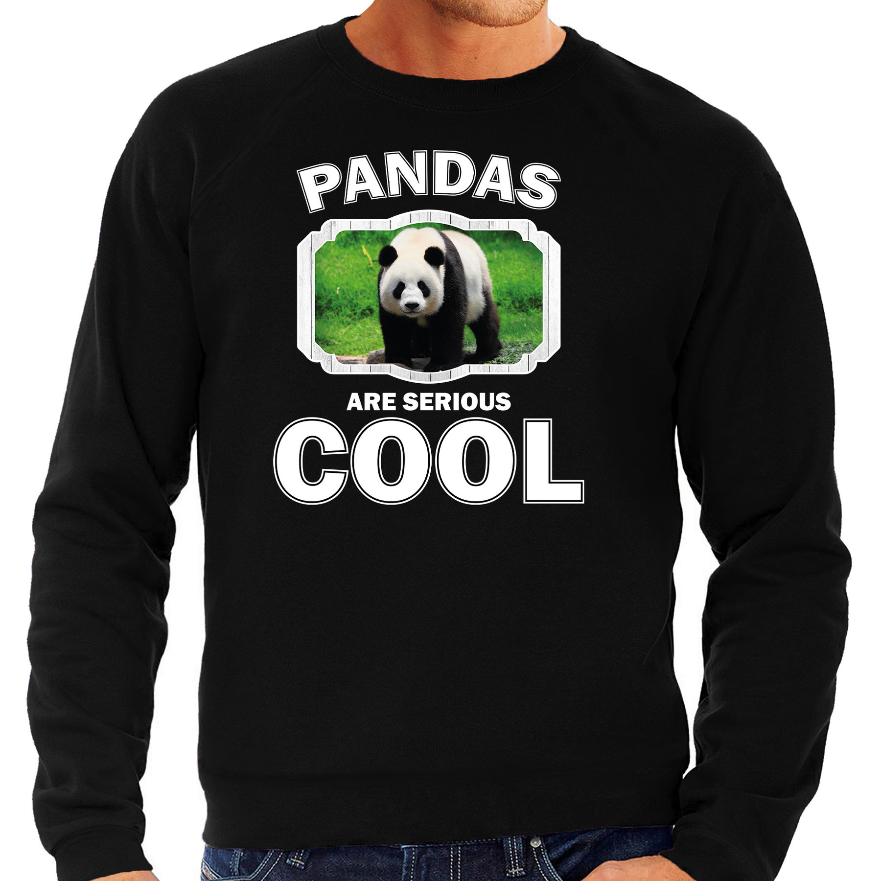 Sweater pandas are serious cool zwart heren - pandaberen/ grote panda trui