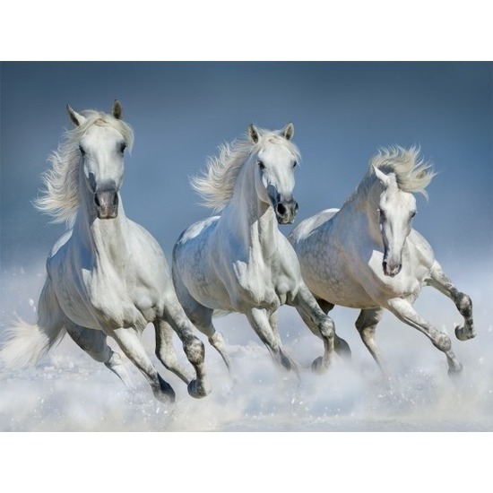 Witte paarden thema placemats 3D 30 x 40 cm