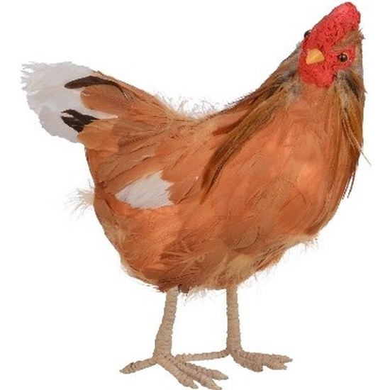 Woondecoratie beeld staande bruine kip vogel 30 cm