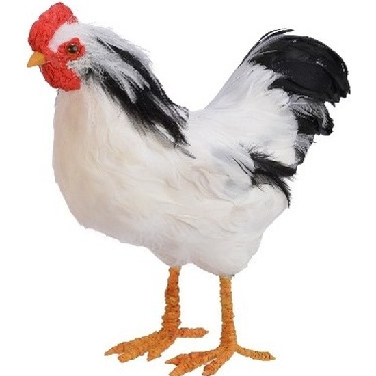 Woondecoratie beeld staande witte kip vogel 30 cm