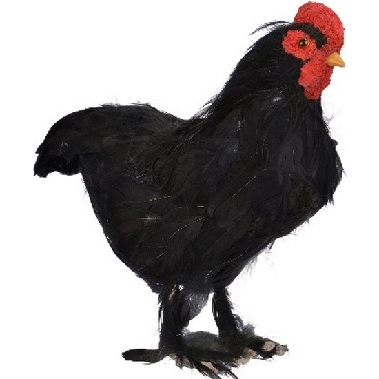 Woondecoratie beeld staande zwarte kip vogel 30 cm