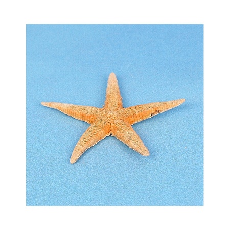 10x Decoration sea star 7 cm