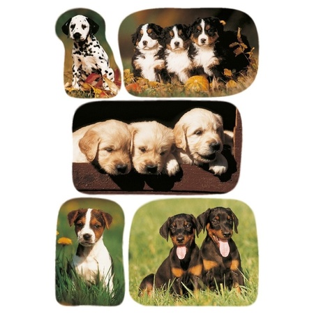 3x Honden/puppy stickervellen met 5 stickers