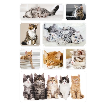 3x Poes/kitten stickervellen met 8 stickers