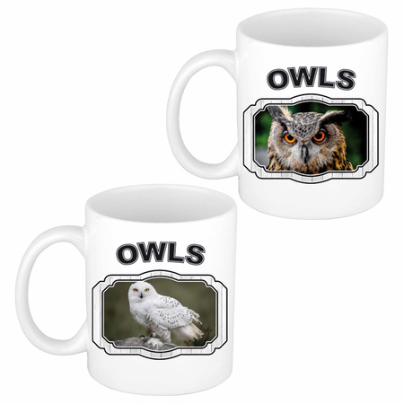 2x animals birds owls print drink mugs 300 ml