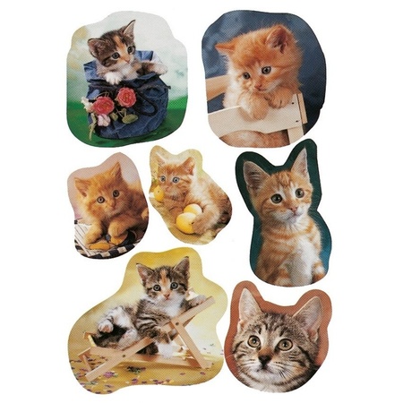 63 x Cat stickers
