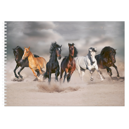 Schetsboek Paarden liefhebbers A4 50 paginas met 50 viltstiften