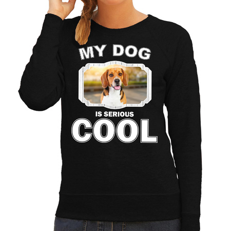 Honden liefhebber trui / sweater Beagle my dog is serious cool zwart voor dames