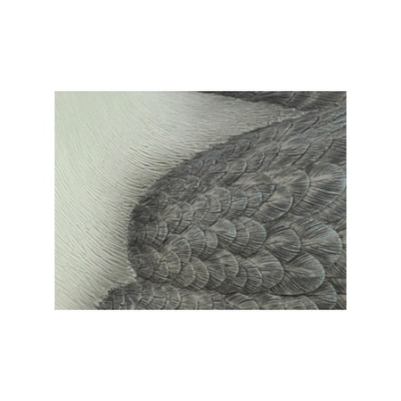 Tuindecoratie beeld meeuw 40 cm