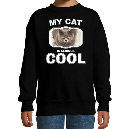 British shorthair sweater my cat is serious cool black for children