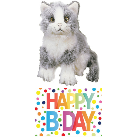 Plush grey cat cuddle toy 20 cm with Happy Birthday card