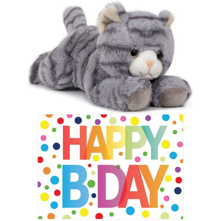 Plush grey cat cuddle toy 25 cm with Happy Birthday card