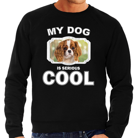 Honden liefhebber trui / sweater Charles spaniel my dog is serious cool zwart voor heren