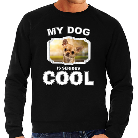 Chihuahua dog sweater my dog is serious cool black for men