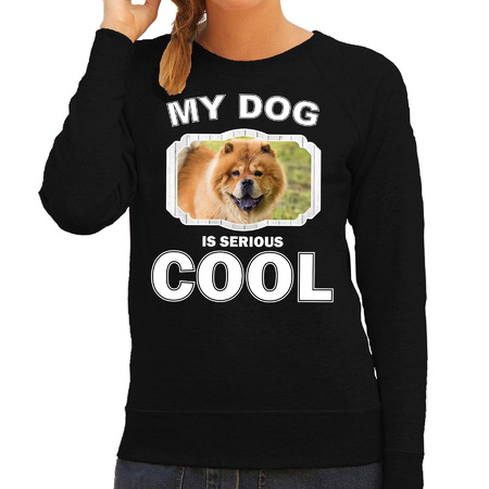 Chow chow dog sweater my dog is serious cool black for women