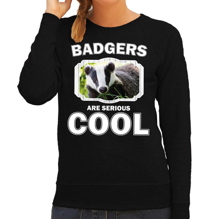 Sweater badgers are serious cool zwart dames - dassen/ das trui