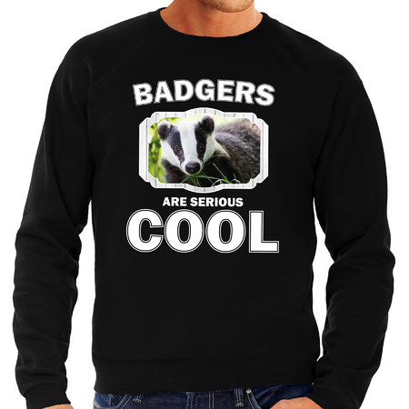 Sweater badgers are serious cool zwart heren - dassen/ das trui