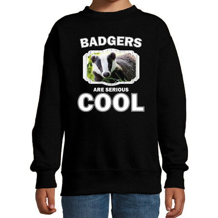Animal badgers are cool sweater black for children